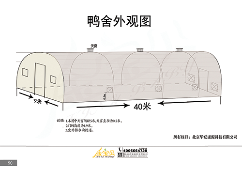 发酵床养鸭技术鸭舍外观