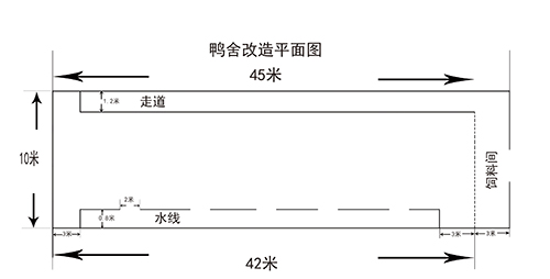 发酵床养鸭技术水槽设置