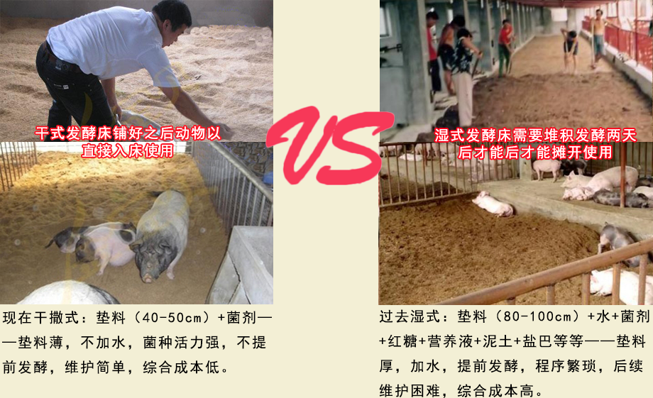 湿式发酵床与干撒式发酵床的区别