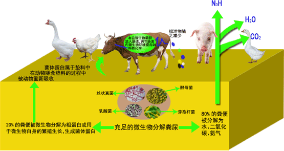 干撒式发酵床的原理