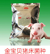 发酵床养猪菌种