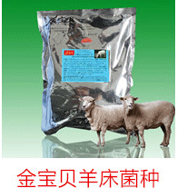 发酵床养羊菌种