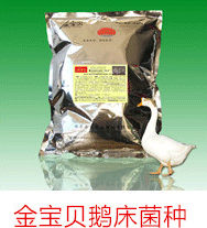 发酵床养鹅菌种