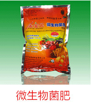 金宝贝微生物菌肥