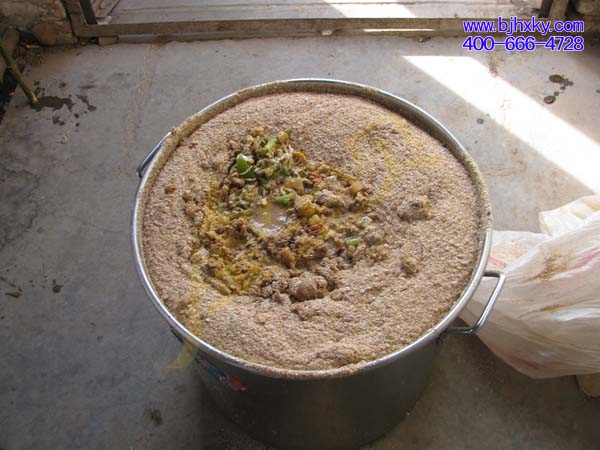 金宝贝微生物