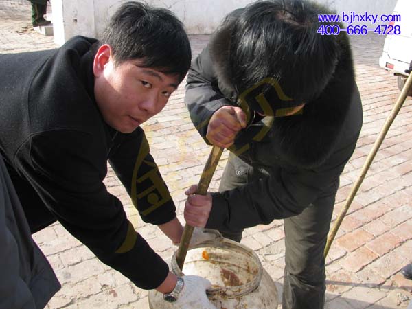 金宝贝微生物