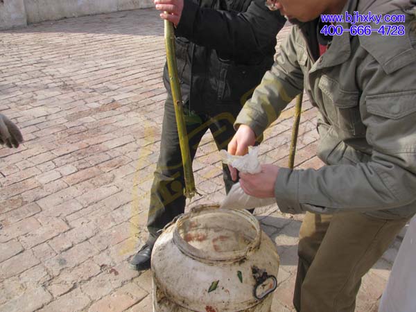 金宝贝微生物