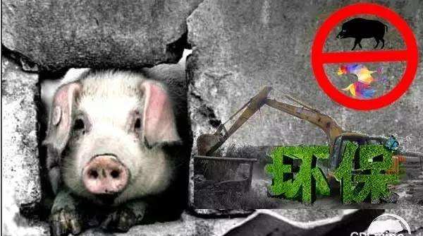 ֳǨ