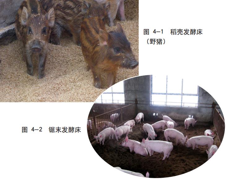 发酵床