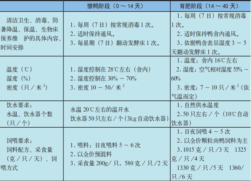 发酵床养鸭饲养表1
