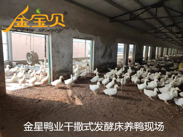 金星鸭业发酵床养殖基地