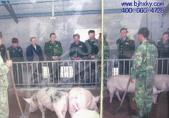 总后金宝贝干撒式酵床养猪圈舍