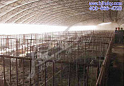 中央警卫局应用金宝贝干撒式发酵床